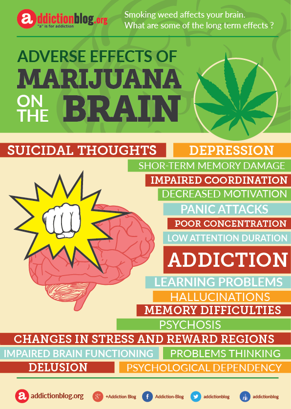 Marijuana on the brain effects