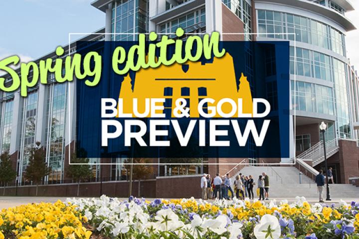 Spring Blue and Gold Preview