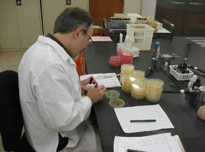 Scientist conducts tests using beakers